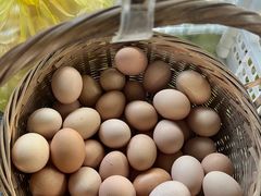 -马陆小张葡萄园农家乐