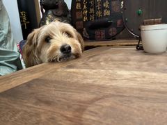 -道南書院·私房菜·早午茶·茶馆