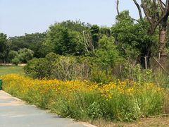 -盘龙城国家考古遗址公园