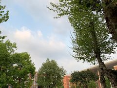 -四川大学(望江校区)
