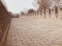 -水绘园
