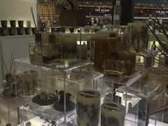-SCENTBOUTIQUE(侨福芳草地购物中心店)