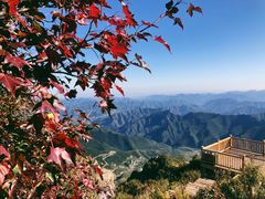 -白草畔自然风景区