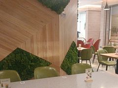 -油梨树AVOCADO TREE(嘉里中心店)
