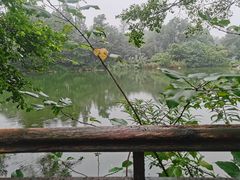 -保利石象湖景区