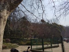 -镇江市南山风景名胜区竹林景区