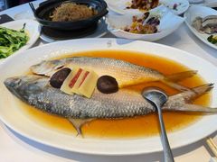 招牌鸡油花雕蒸鲥鱼-苏浙汇(肇嘉浜路总店)
