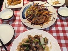 -邵年鸽(杨庄店)