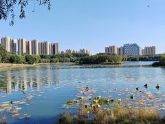 -丁香湖公园