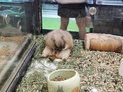 -宠物世家(仲盛世界商城店)