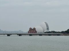 -野狸岛