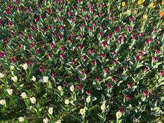 -长春公园(普阳街道)