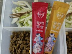 -浣熊柯尔鸭土拨鼠·电玩咖