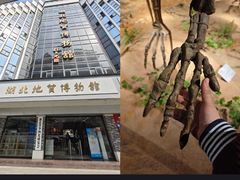 -湖南省地质博物馆