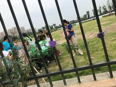 -菊园百果园