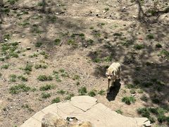 -哈尔滨北方森林动物园