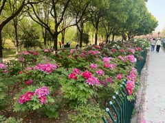 -幕燕滨江·长江观音景区