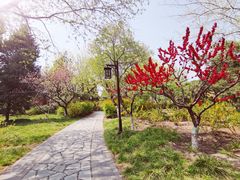 -宣武艺园