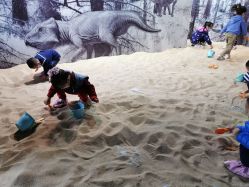 点击看大图 -恐龙探索乐园(磁器口店)