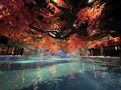 -寻梦盛唐主题水会(龙岗店)
