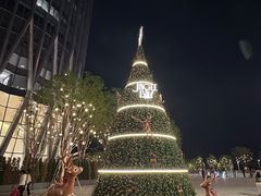 -深圳湾万象城(南山店)