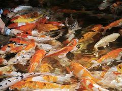 -海合安青岛极地海洋公园