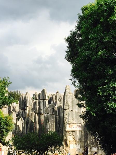 石林风景区-"远看大石头,近看大石头,石头果然大!至."-大众点评移动版