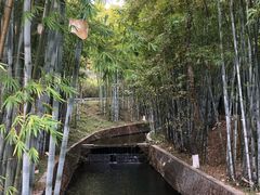 -广东温泉宾馆