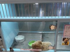 -FAELING PETS美天灵宠物(合生汇店)
