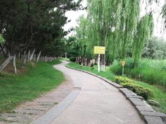 -前关湿地公园