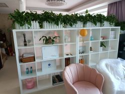 -奕美功能性体态调整·塑型·产后恢复(永利国际店)