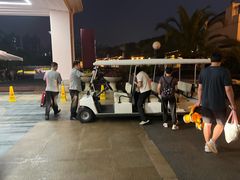 -圣爵菲斯大酒店(长沙世界之窗店)