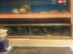 -皮记海鲜1995(寮步店)