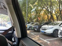 -世纪公园-1号门停车场