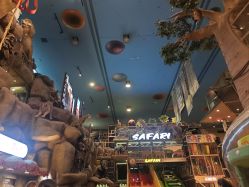 -卡通尼·Safari非洲探索乐园·生日会(金桥国际商业广场店)