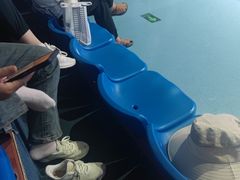 -白鹿仓冰雪海洋世界