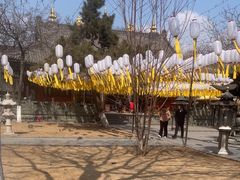 -护国法轮寺