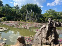 -中国科学院西双版纳热带植物园