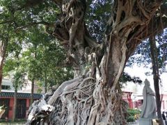 -闽粤南澳总镇府