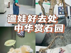 -中华赏石园