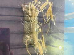 -上海海洋大学鱼文化博物馆(军工路校区)