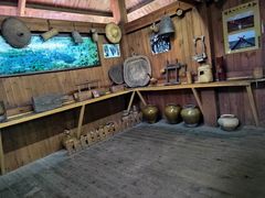 -西双版纳原始森林公园