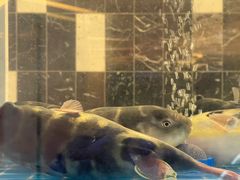 -童福兴·南京菜(老门东店)