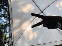 -重庆睡佛山森林公园