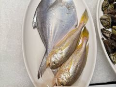 -瓯菜排档(娄桥店)