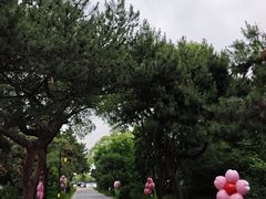 -北陵公园