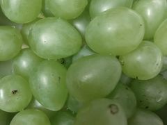 -苏州河梦清园环保主题公园