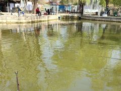 -酷鱼垂钓CLUB(朝阳区博大路店 )