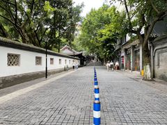 -老街无刺鲫鱼