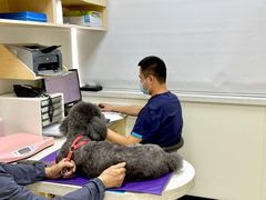 -美联众合动物医院·24h京西诊疗中心